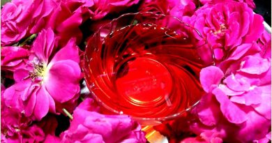 How to Make ROSE Essential Oils at Home and BENEFITS || AYURVEDA