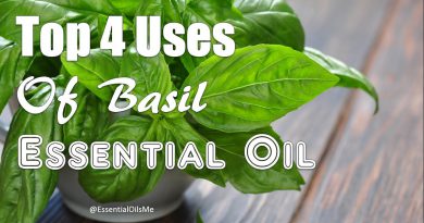Top 4 Uses Of Basil Essential Oil