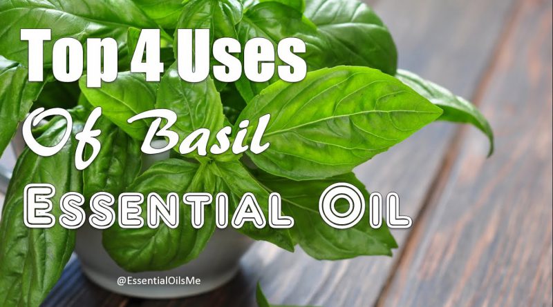 Top 4 Uses Of Basil Essential Oil