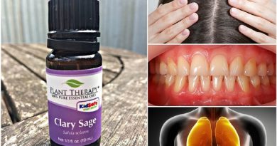 11 Powerful Reasons Why Everyone Should Have Clary Sage Essential Oil At Home