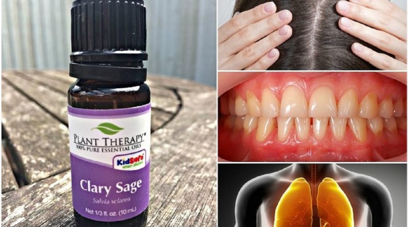 11 Powerful Reasons Why Everyone Should Have Clary Sage Essential Oil At Home