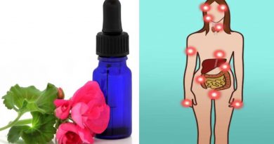 5 Reasons You Need A Bottle Of Geranium Essential Oil In Your Home