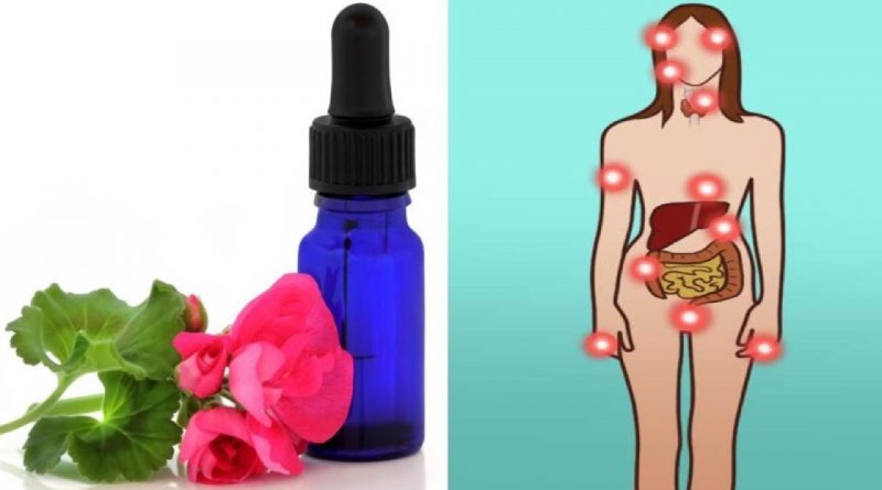 5 Reasons You Need A Bottle Of Geranium Essential Oil In Your Home