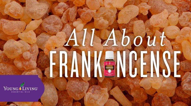 All About Frankincense | Young Living Essential Oils