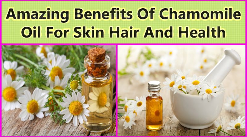 Amazing Benefits Of Chamomile Oil For Skin Hair And Health