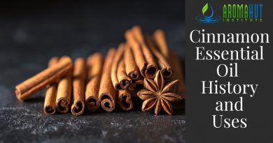 Cinnamon Essential Oil (Bark) History -  Uses and Benefits