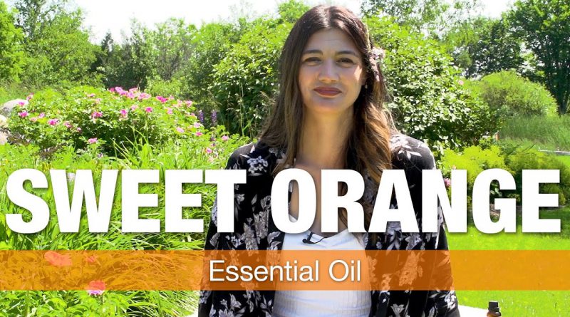 Essential Oil Series - Sweet Orange Oil