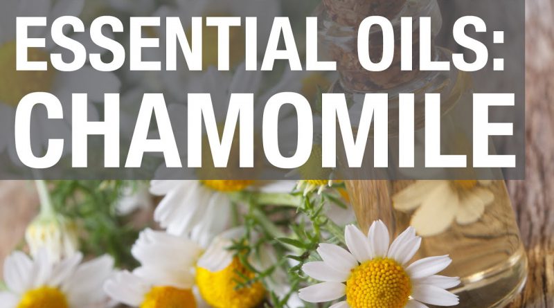 Essential Oils: Chamomile