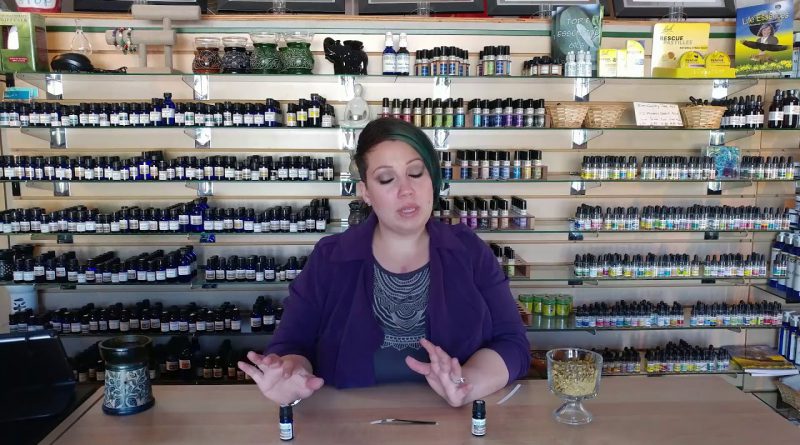 German Chamomile vs. Roman Chamomile Essential Oil - What's The Difference?