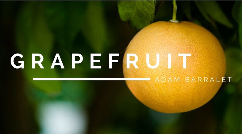 Grapefruit - The Oil of Honouring Thyself