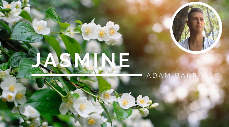 Jasmine - The Oil of Sacred Union