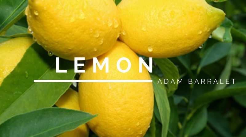 Lemon - The Oil of Brilliance