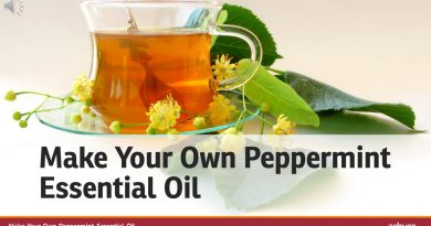 Make Your Own Peppermint Essential Oil