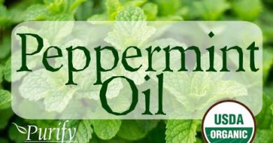 Peppermint Essential Oil, All You Ever Need To Know
