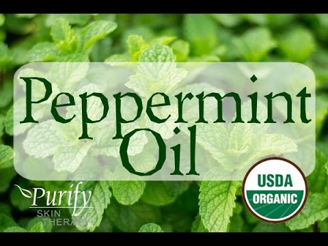 Peppermint Essential Oil, All You Ever Need To Know