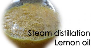 Steam distillation - Lemon essential oil 🍋