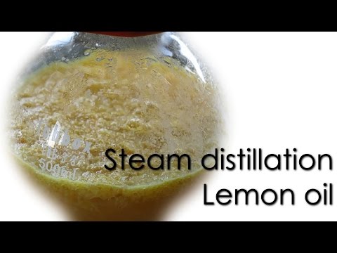 Steam distillation - Lemon essential oil 🍋