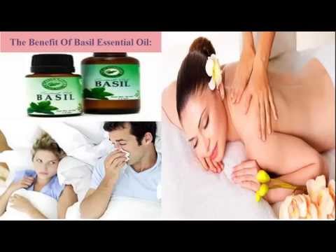 The Benefit Of Basil Essential Oil