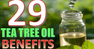 29 Life hacks, Uses and Benefits of Tea tree Oil YOU NEED TO KNOW!