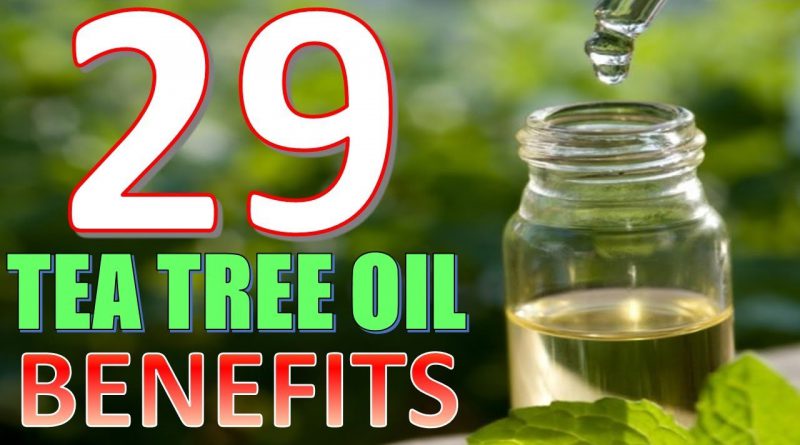 29 Life hacks, Uses and Benefits of Tea tree Oil YOU NEED TO KNOW!