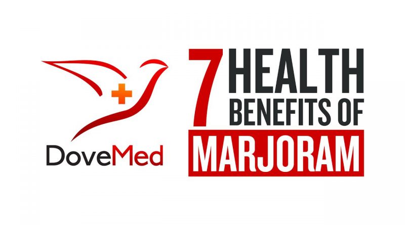 7 Health Benefits Of Marjoram