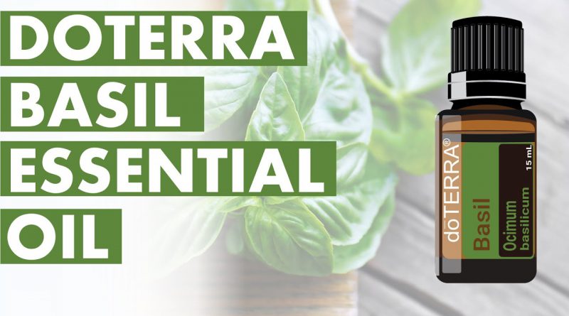 Basil Essential Oil: Awesome Benefits And Uses