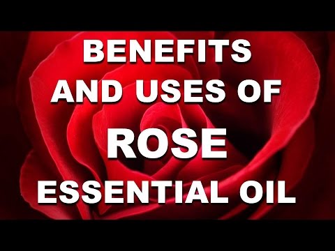 Benefits and Uses of Rose Essential Oil