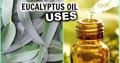 EUCALYPTUS OIL USES for Hair Growth, Hair Loss, Breathe Better, Pain, Insomnia, Aromatherapy, Athsma