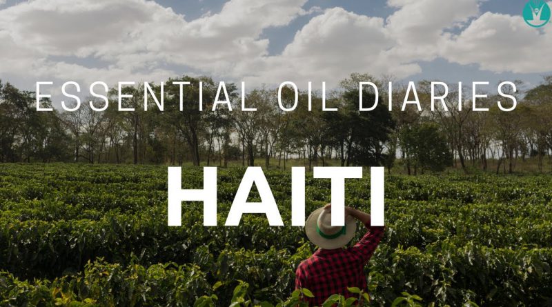 Essential Oil Diaries - Haiti