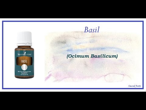 Essential Oils 101: Basil