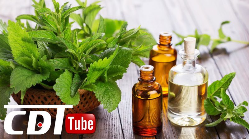 Essential Patchouli Oil Benefits and Uses! | CDT NEWS