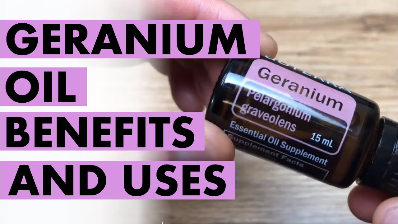 Geranium Oil Benefits And Uses Of Flower Power Anita Fincham