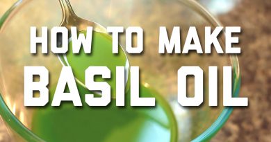 HOW TO MAKE BASIL OIL AT HOME
