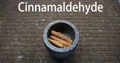 How to extract Cinnamaldehyde from Cinnamon (Steam Distillation)