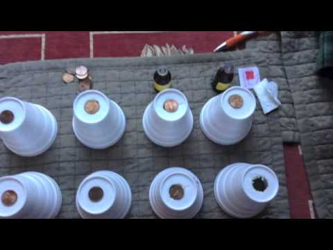 Penny drop test - ESSENTIAL OILS - WHICH BREAKS DOWN STYROFOAM THE QUICKEST -LEMON OIL -