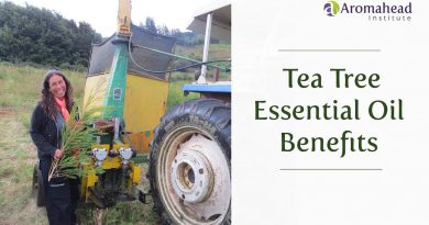 Tea Tree Essential Oil Benefits