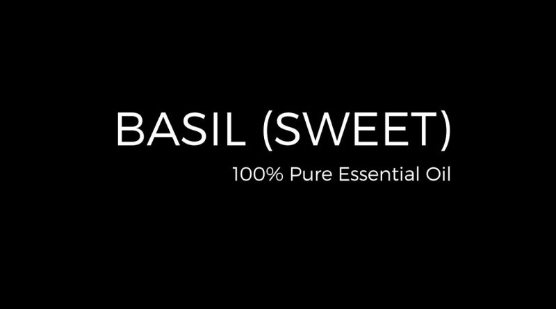 100% Pure Basil Essential Oil