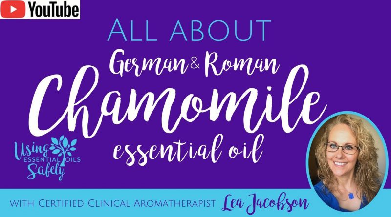 All About German & Roman Chamomile Essential Oils
