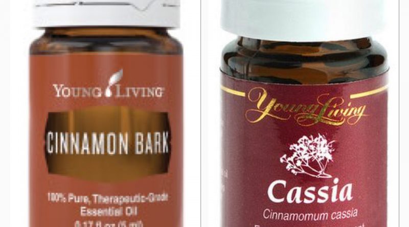 Cassia & Cinnamon Essential Oil   What's the Difference?