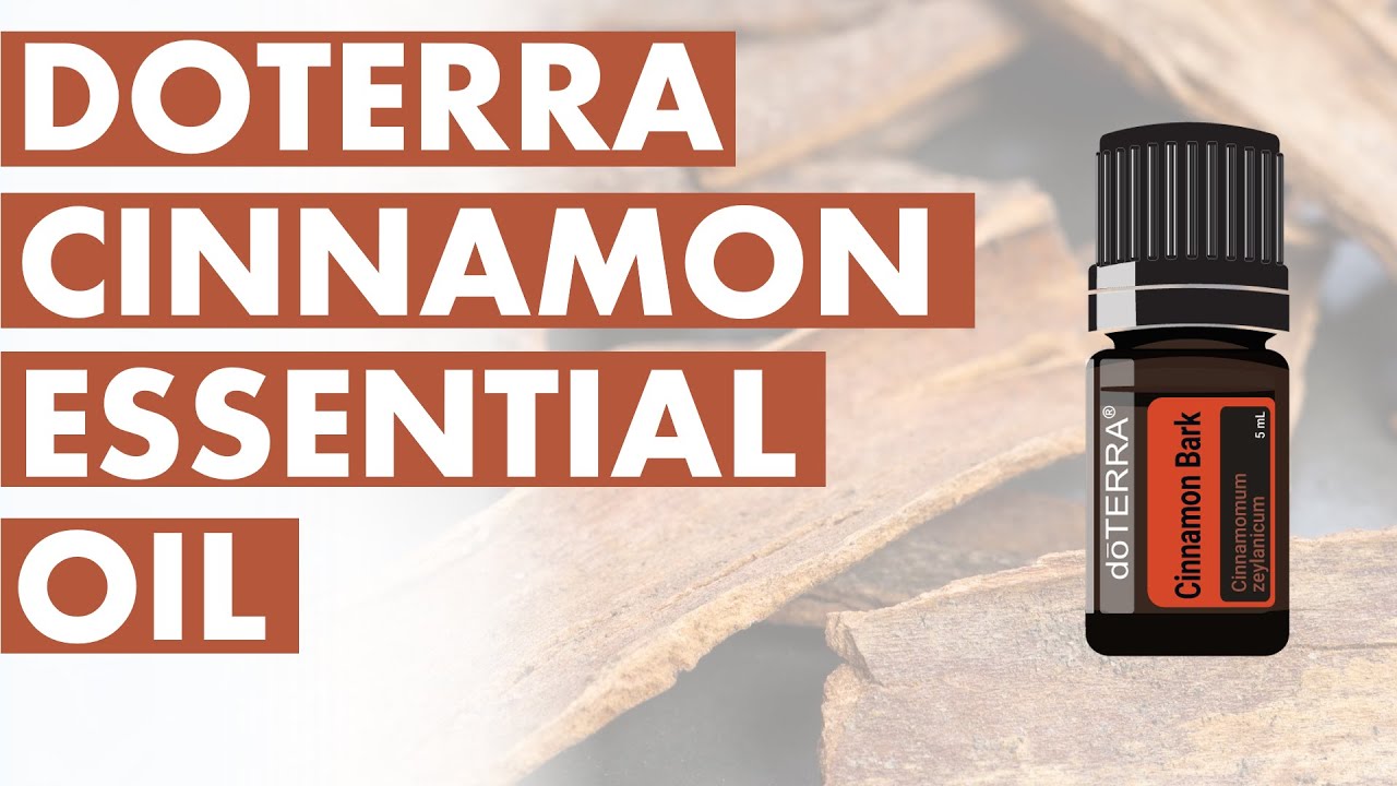 Cinnamon Essential Oil: Incredible Benefits And Uses – Anita Fincham ...