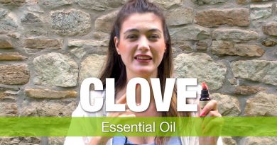 Essential Oil Series - Clove