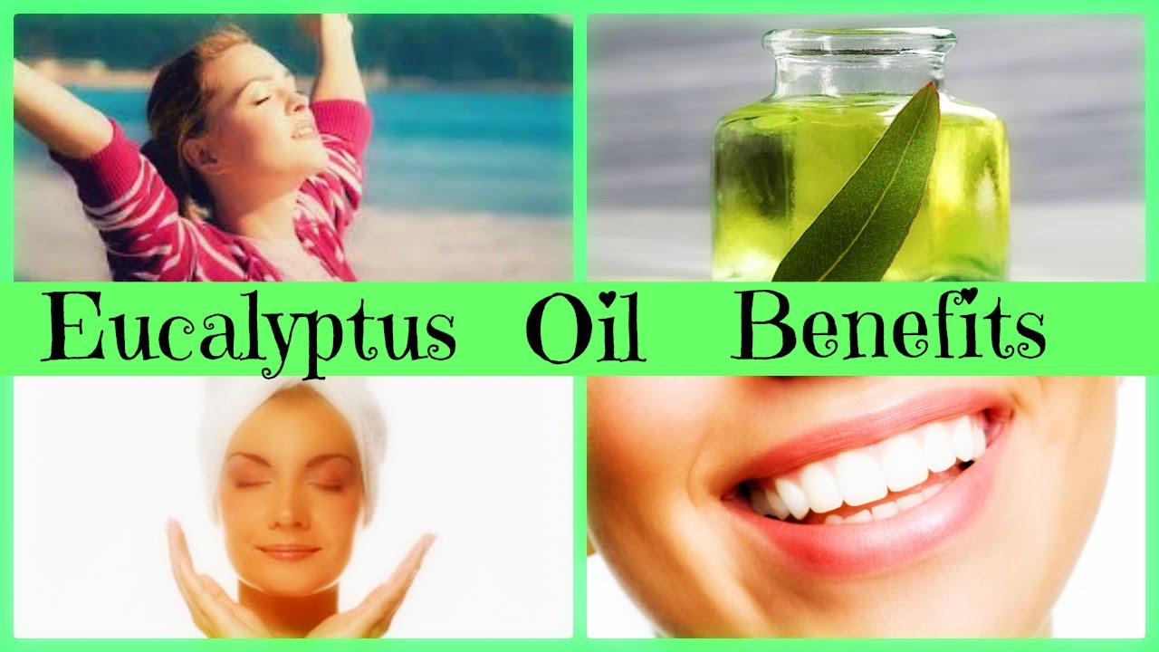 Eucalyptus Essential Oil Benefits Naturally Treat Congestion