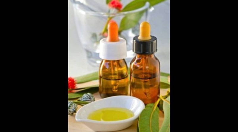 Find Out How Eucalyptus Oil is So Very Beneficial for the Hair
