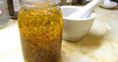 How To Make An Infused Oil - Herbalism Basics 4
