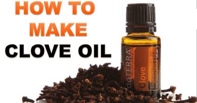 How To Make Clove Oil at Home - SIMPLY & EASILY