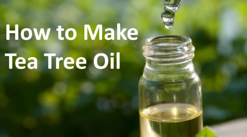 How to Make Tea Tree Oil