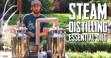 How to Steam Distill Essential Oils