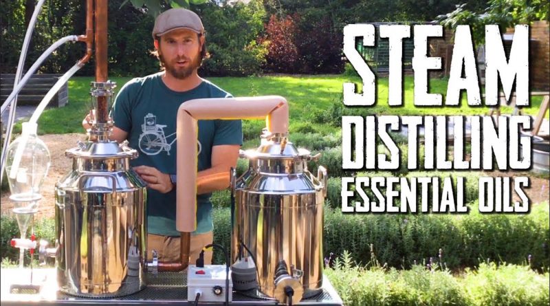 How to Steam Distill Essential Oils