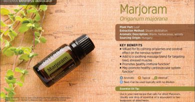Intro to Marjoram Essential Oil