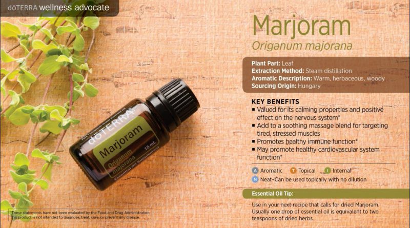 Intro to Marjoram Essential Oil